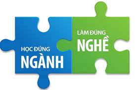 70% cử nhân sau khi tra trường làm trái nghề, tại sao? 70% cử nhân sau khi tra trường làm trái nghề, tại sao?