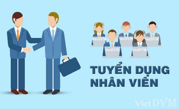 Tuyển dụng vị trí Trưởng nhóm Điều vận (Dispatcher)