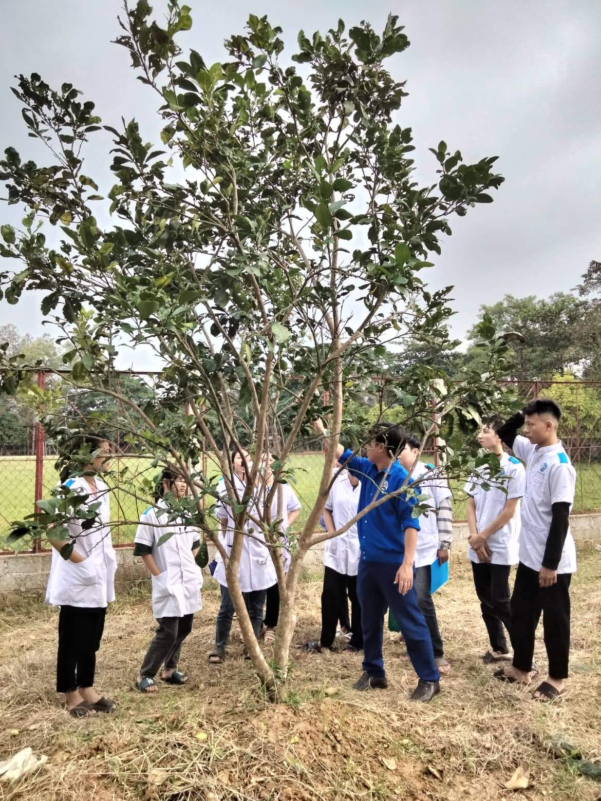 NGHỀ BẢO VỆ THỰC VẬT